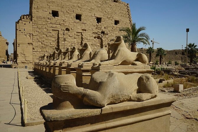 Full Day Tour to East and WestBanks of Luxor (Private) - Inclusions and Exclusions