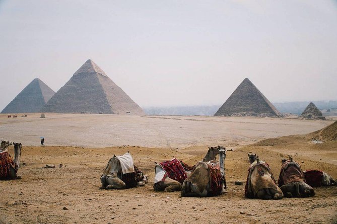 Full Day Tour To Pyramids Of Giza, Saqqara Step Pyramids & Sound And Light Show Pickup And Transportation