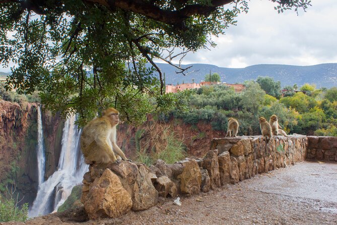 Full Day Trip To Ouzoud Waterfalls From Marrakech. Trip Overview