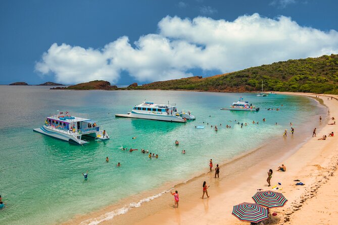 Full Day Vieques Beach Tour By Catamaran From Fajardo Tour Overview