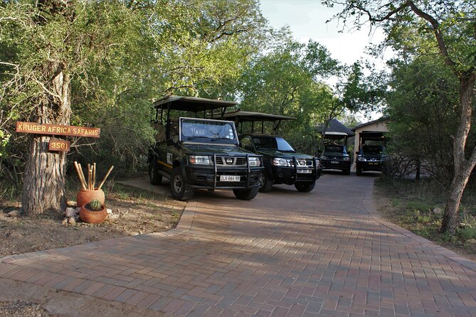 Fullday Gamedrives In Kruger National Park From Marlothpark Tour Highlights