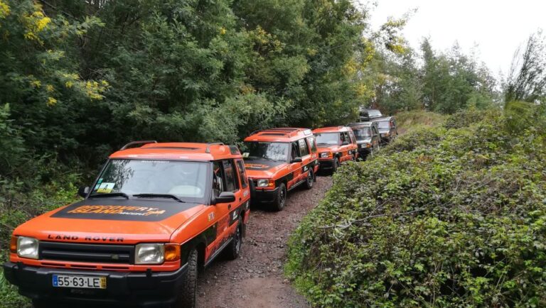 Funchal: Câmara Lobos & Girão Sea Cliff Half Day Jeep Tour Tour Overview