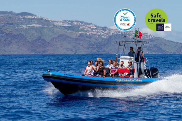 Funchal: Dolphin And Whale Watching Cruise Tour Overview