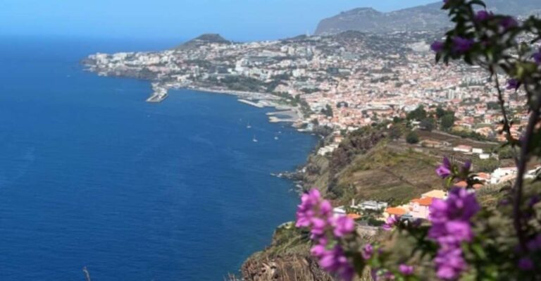 Funchal Historical Tuk Tuk Guided Tour Tour Overview And Highlights