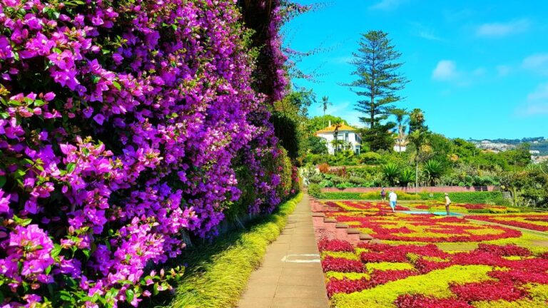 Funchal: Madeira Botanical Garden Private Tuk Tuk Tour Tour Overview