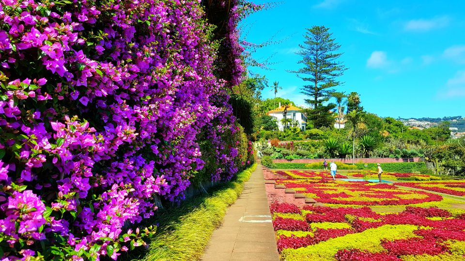 Funchal: Madeira Botanical Garden Private Tuk-Tuk Tour - Tour Overview