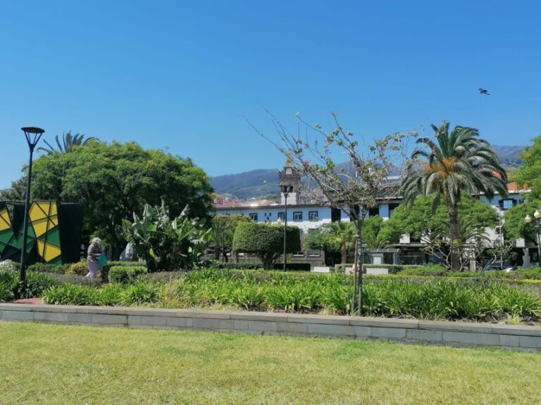 Funchal: Private Guided Tour Of Historic Center By Tuk Tuk Tour Overview