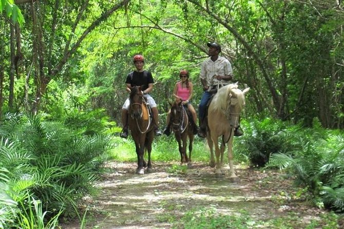 Funny Park Adventure From Punta Cana (4 Tours in One) - Tour Overview and Activities