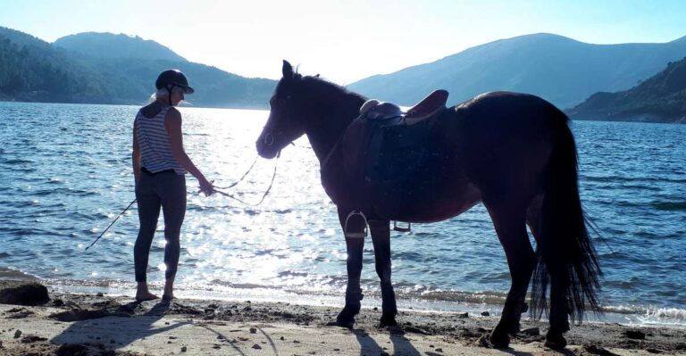 Gerês Braga: Horseback Ride In Peneda Gerês National Park Explore Peneda Gerês National Park