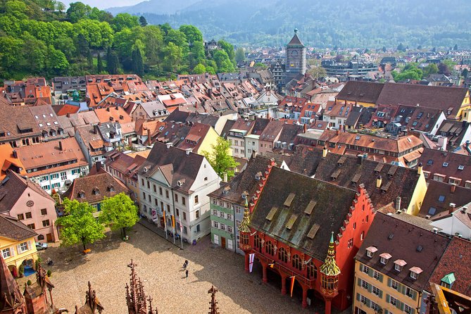 Germany Freiburg & Black Forest Private Day Trip From Strasbourg - Overview of the Day Trip