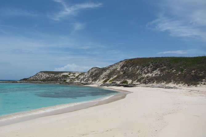 Gibbs Cay Stingray And Conch Dive Adventure Inclusions And Amenities