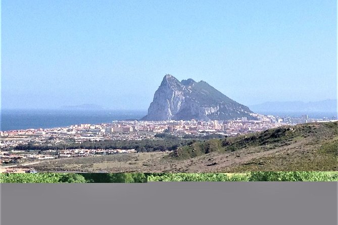 Gibraltar Private Trip From Marbella or Malaga - Highlights of the Gibraltar Tour