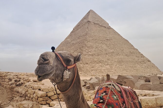 Giza Pyramids All Inclusive Lunch,Entrance Fees,30min Camel Ride - Inclusions