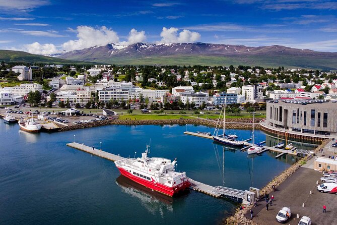 Godafoss Waterfall & Geothermal Baths From Akureyri Port - Overview