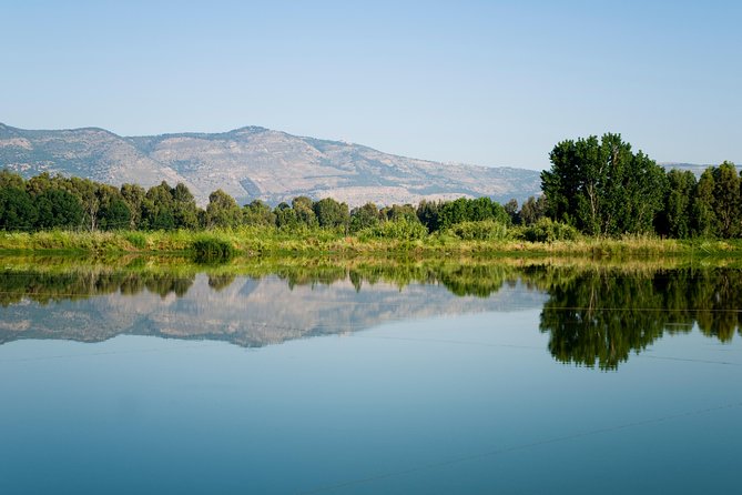 Golan Heights Day Trip From Tel Aviv Included In The Tour