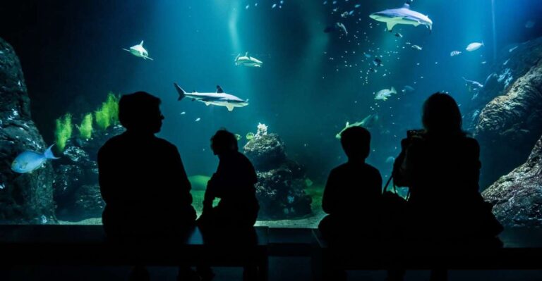 Gothenburg: Universeum Entry Ticket Explore Nature, Science, And Technology