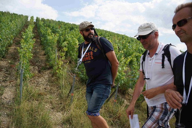 Gourmet Walk In The Heart Of The Vineyards With Champagne Tasting Near Epernay Champagne Production Process