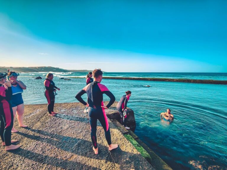 Gran Canaria: North Coast Tour Salt, Rock Pools, Snorkel ツ Tour Overview