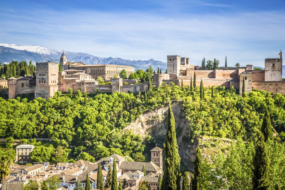 Granada: Alhambra, Nasrid, and Generalife Private Tour - Overview of the Tour