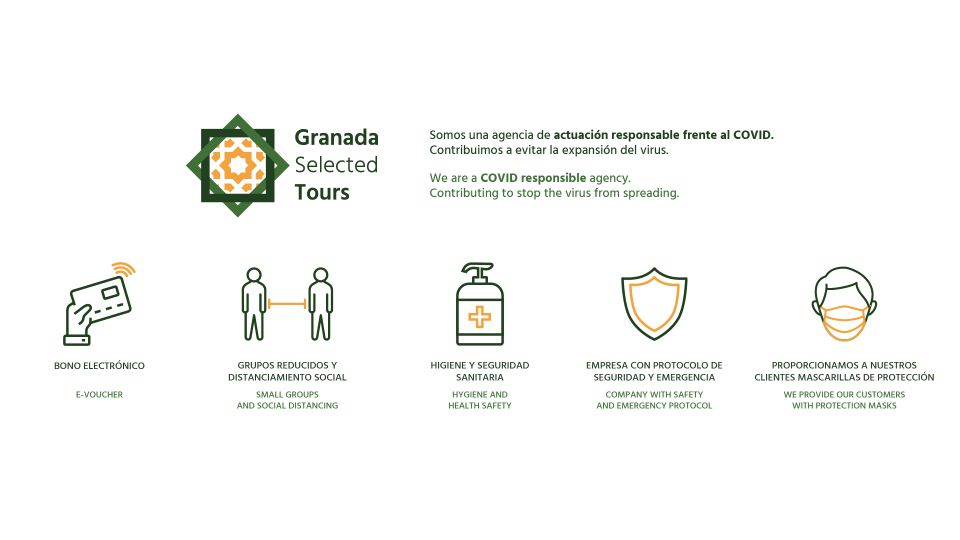 Granada: Fast-Track Alhambra & Nasrid Palaces Guided Tour - Tour Overview