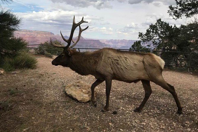 Grand Canyon Signature Hummer Tour With Optional Sunset Views Tour Overview