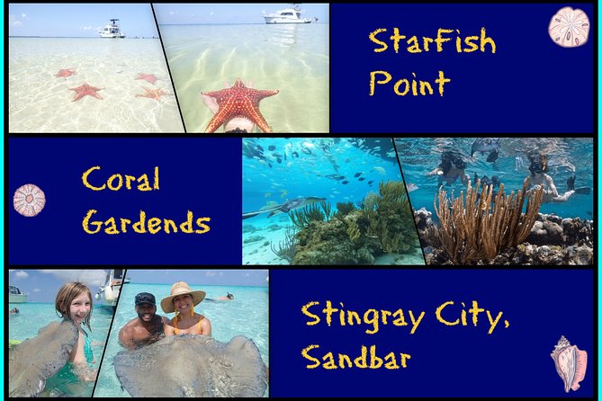 Grand Cayman Cruise: Starfish Point, Stingray City, Coral Garden - Overview of the Grand Cayman Tour