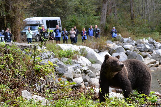 Great Bears Of Bute: Grizzly Bear Viewing & Indigenous Cultural Tour Overview Of The Experience