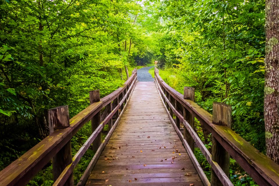 Great Smoky & Shenandoah National Park Driving Audio Tour - Tour Overview and Pricing