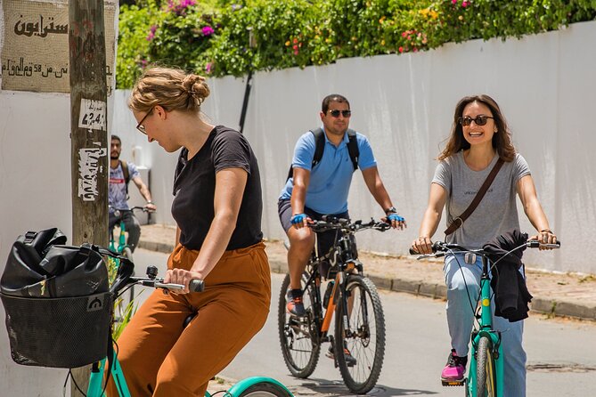 Group Guided Bike Tour Of Carthage Archeological Site In Tunisia Tour Overview