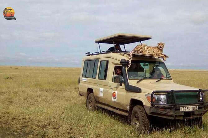 Group Safari 7 Days In Tanzanias Main Parks Tour Overview