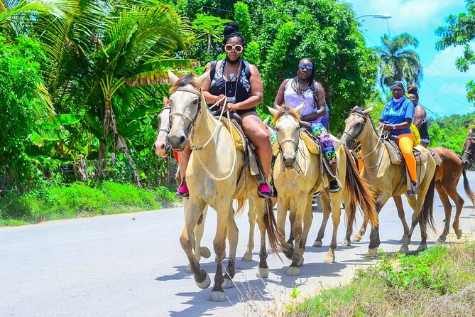 Guided Horseback Riding Through Nature In Punta Cana Overview And Location