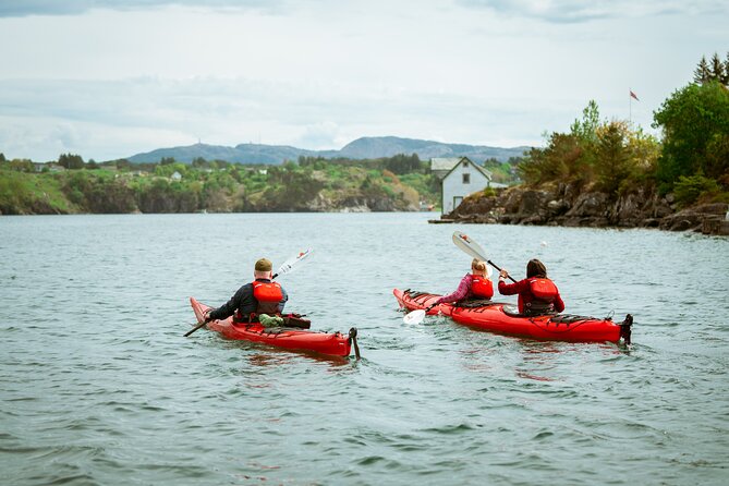 Guided Kayak Tour Bergen Inclusions And Logistics