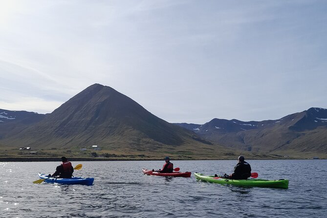 Guided Kayak Tour In Siglufjörður / Siglufjordur. Overview Of The Tour