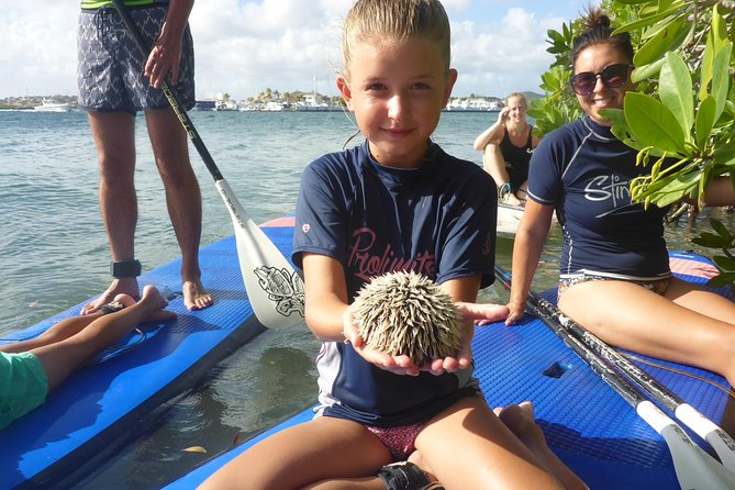 Guided Paddleboarding (Sup) Mangrove ECO Tour for Beginners - Pickup and Meeting Point