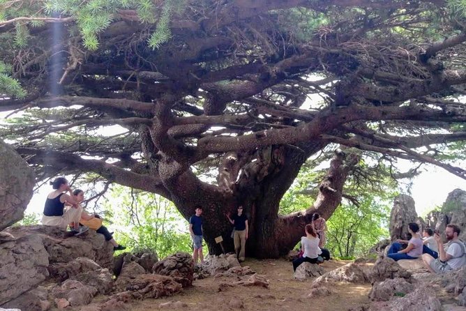 Guided Small Group Tour To Qadisha, Bcharee & Cedars With Lunch Tour Overview