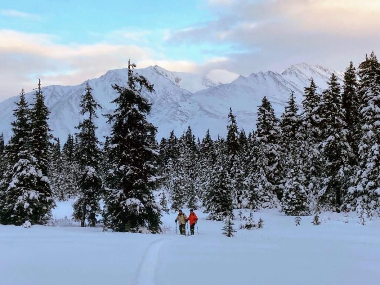 Guided Snowshoeing Adventure From Seward, Alaska Overview And Booking Information