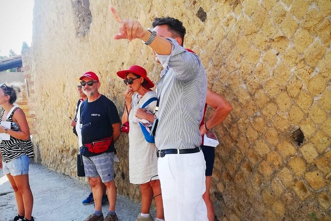 Guided Tour of Herculaneum With an Expert Archaeologist - Overview of the Tour