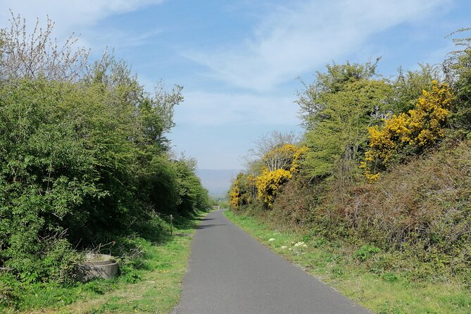 Guided Walking Tour in Stunning County Waterford Ireland - Meeting and End Points