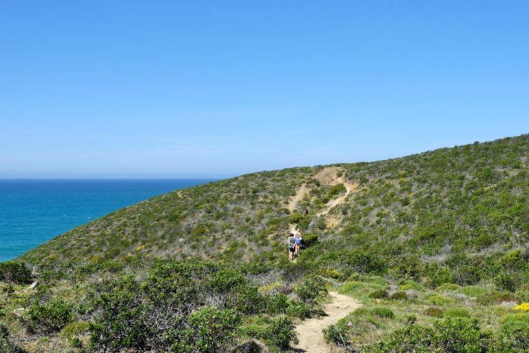 Guided Walk+picnic: Western Algarve's Wild Beauty Activity Details