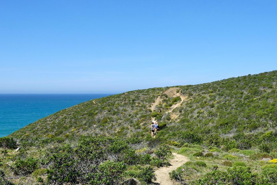 Guided Walk+Picnic: Western Algarve's Wild Beauty - Activity Details