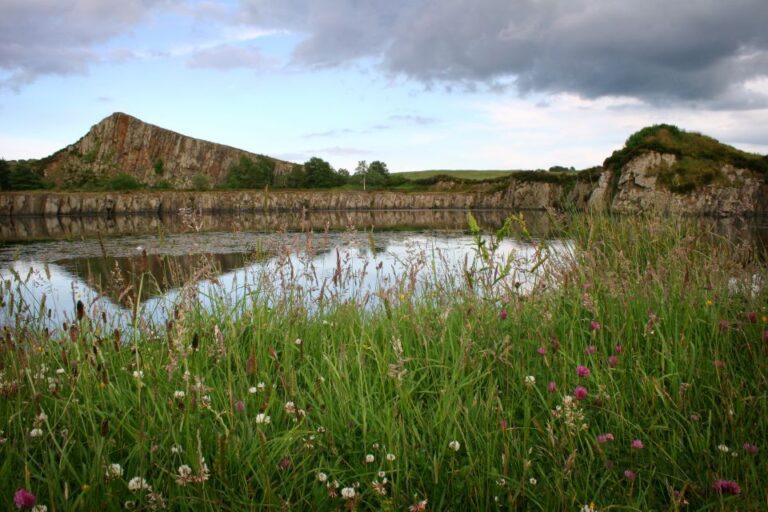 Hadrians Wall: 4 Hour Guided Tour Tour Overview