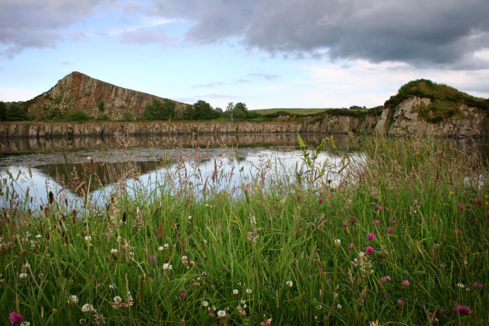 Hadrians Wall: 4-Hour Guided Tour - Tour Overview