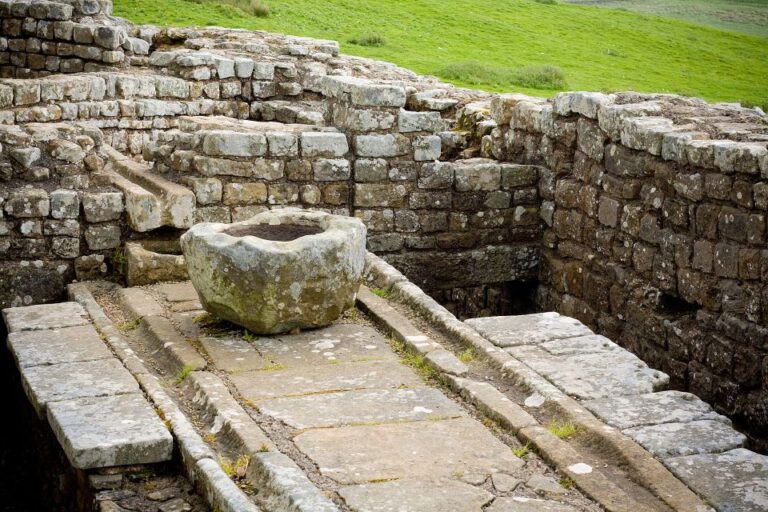 Hadrians Wall: Housesteads Roman Fort Entry Ticket Overview Of Housesteads Roman Fort