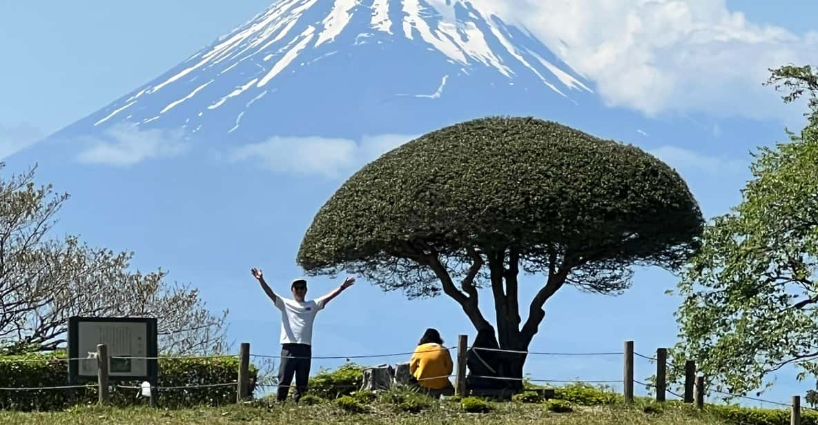 Hakone Hachiri: Old Tokaido Highway Hiking Tour - Historical Context