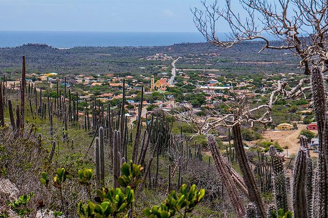 Half Day Bonaire Island Tour With Hotel Pickup And Drop Off Visit To Government House And Old Fort