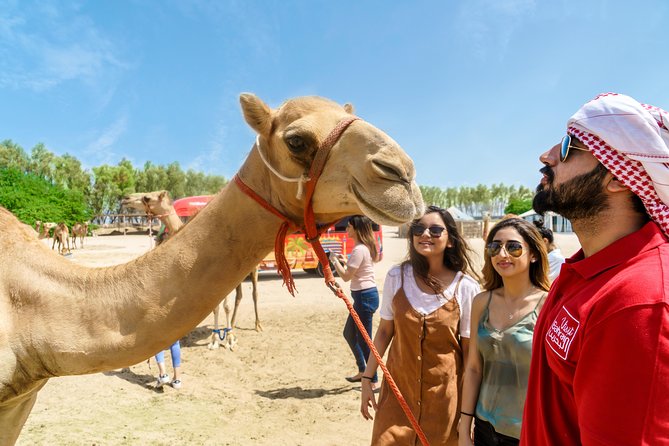 Half Day Desert Tour Tour Overview