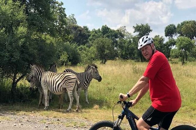 Half Day E Biking With Wildlife Watching In Pretoria Groen Kloof Nature Reserve