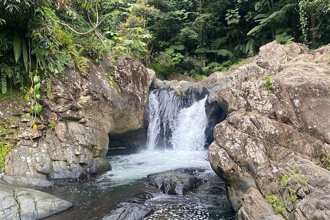 Half Day El Yunque And Waterslides Adventure From Fajardo Meeting And Transportation