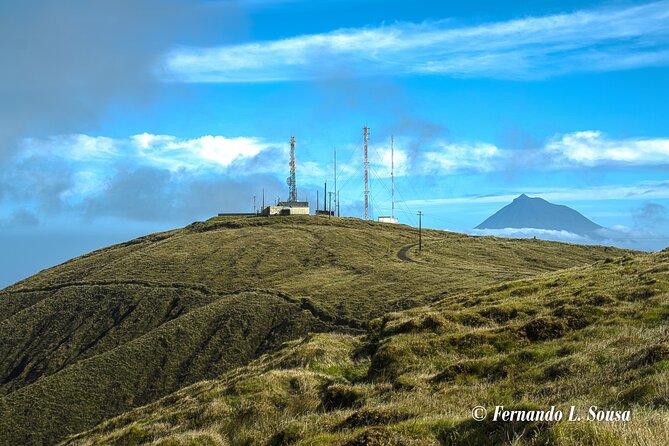 Half Day Faial Island Tour -Local Biologist - Tour Overview