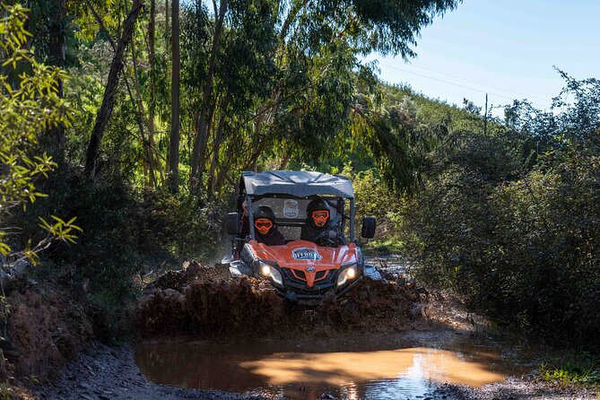 Half Day Getaway Buggy Tour Included Experiences